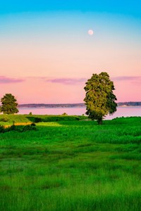 Picture of  กระดาษสีถ่ายเอกสารฟลายอิ้ง (Flying) Colours No.1 สีขาว (100 แผ่น)